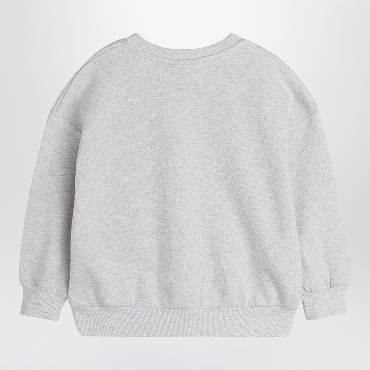 Mini Rodini Gray sweatshirt with Flundra print