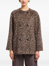 Emporio Armani Coats MultiColour