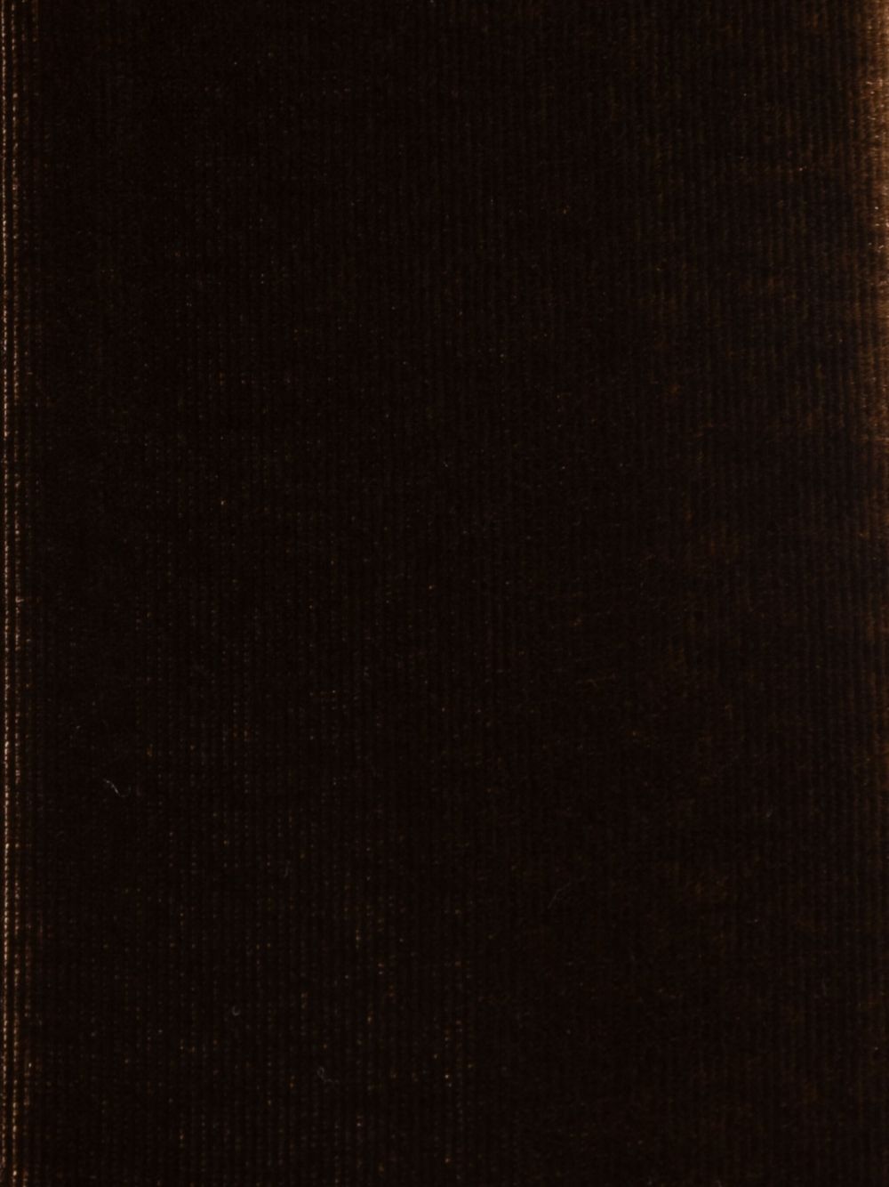 Emporio Armani Scarfs Brown