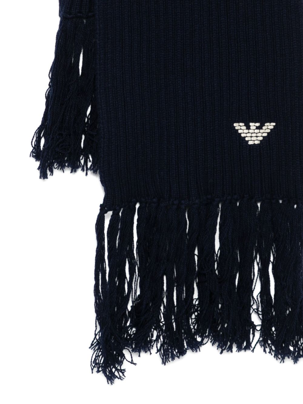 Emporio Armani Scarfs Blue