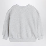 Mini Rodini Gray sweatshirt with Flundra print