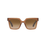 Giorgio Armani Brown Acetate Sunglasses