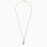 Emanuele Bicocchi Rose and skull necklace in 925 gold-plated silver